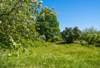 Terrain de 545m2 sur la commune de Olivet au prix de 151000&euro; avec Alpha Constructions