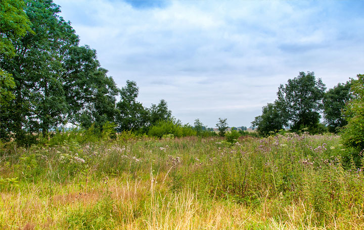 Terrain de 434m2 sur la commune de Créon au prix de 108000&euro; avec Alpha Constructions