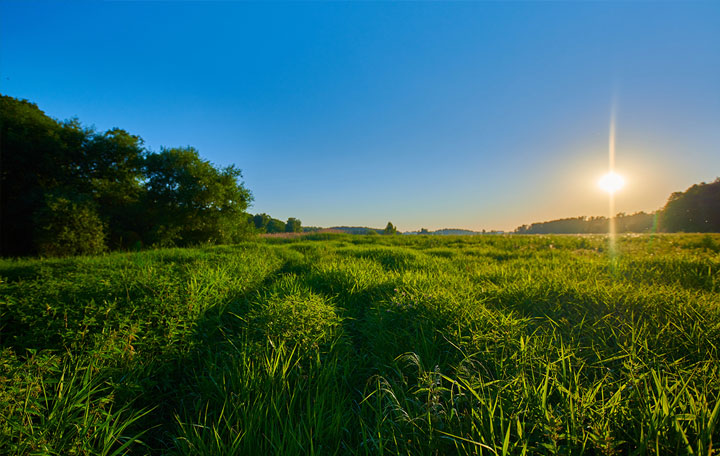Terrain de 1200m2 sur la commune de Trélissac au prix de 47000&euro; avec Alpha Constructions