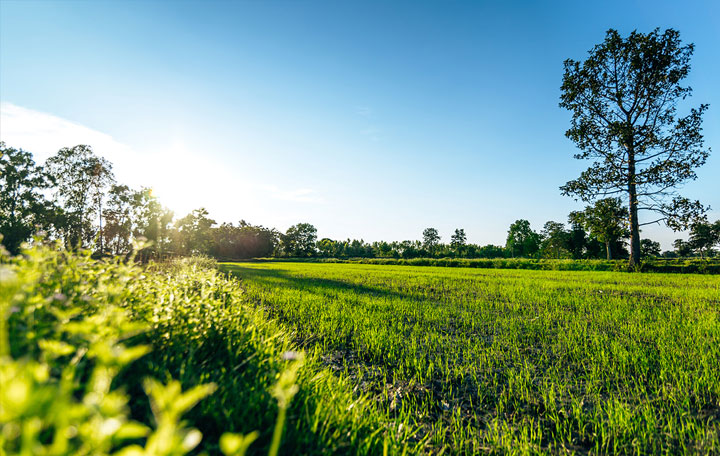 Terrain de 552m2 sur la commune de La Sauve au prix de 79000&euro; avec Alpha Constructions