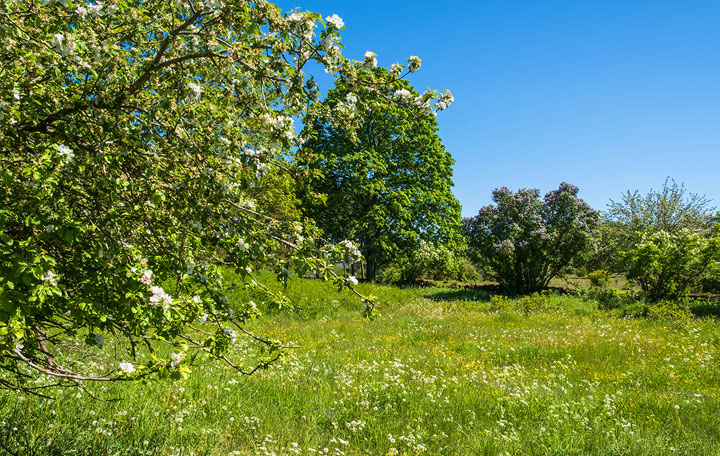 Terrain de 2790m2 sur la commune de Carcans au prix de 210000&euro; avec Alpha Constructions