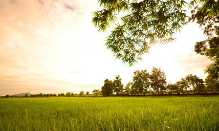 Terrain de 490m2 sur la commune de Agen au prix de 50000&euro; avec Alpha Constructions