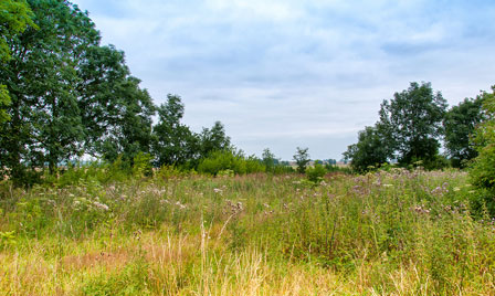 Terrain de 911m2 sur la commune de Auros au prix de 75000&euro; avec Alpha Constructions