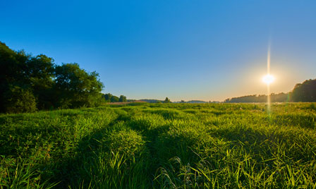 Terrain de 556m2 sur la commune de Arvert au prix de 107864&euro; avec Alpha Constructions