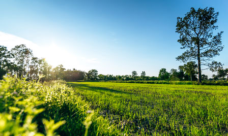 Terrain de 710m2 sur la commune de Cartelègue au prix de 24000&euro; avec Alpha Constructions