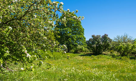 Terrain de 515m2 sur la commune de Bellebat au prix de 65000&euro; avec Alpha Constructions