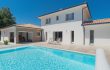 Showroom Alpha constructions