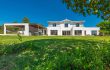 Showroom Alpha constructions