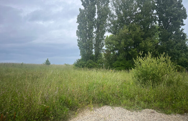 votre maison de 90m2 sur un terrain de 500m2 sur la commune de Cavignac au prix de 190000&euro; avec Alpha Constructions