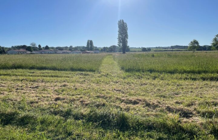 votre maison de 90m2 sur un terrain de 900m2 sur la commune de Saint-André-de-Cubzac au prix de 260000&euro; avec Alpha Constructions