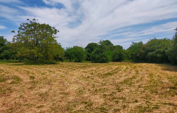 votre maison de 90m2 sur un terrain de 800m2 sur la commune de Sireuil au prix de 199460&euro; avec Alpha Constructions